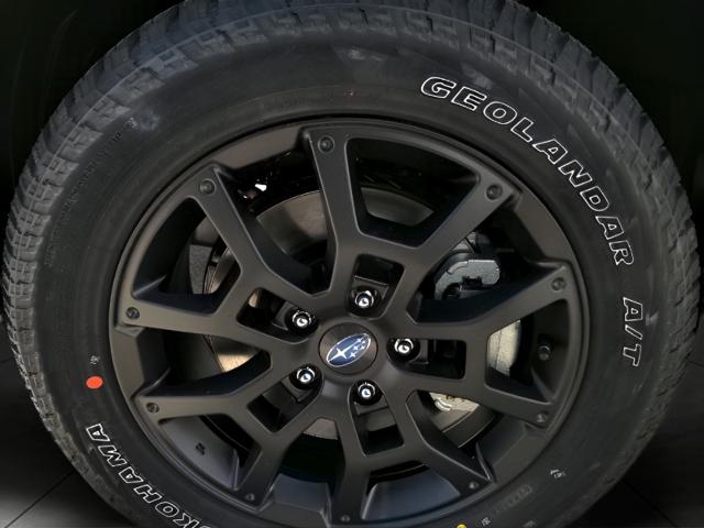 2025 Subaru Crosstrek Vehicle Photo in Green Bay, WI 54304
