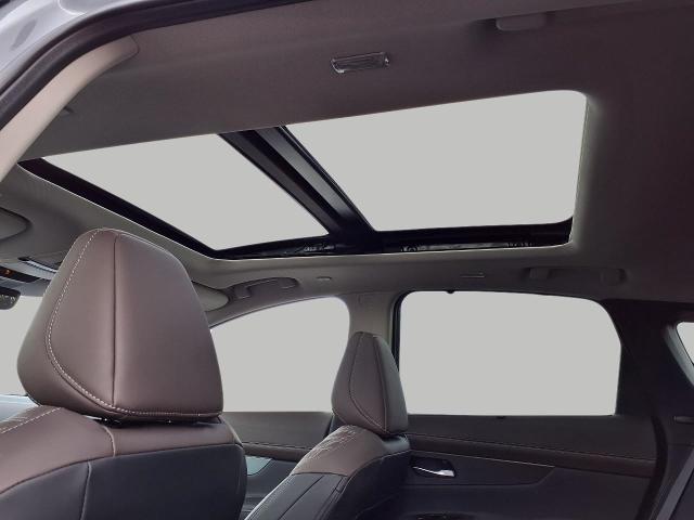 2025 Nissan Murano Vehicle Photo in Oshkosh, WI 54904