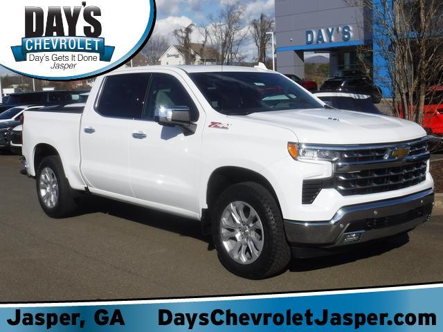 2025 Chevrolet Silverado 1500 Vehicle Photo in JASPER, GA 30143-8655