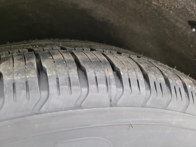 2023 Chrysler Pacifica Vehicle Photo in APPLETON, WI 54914-4656