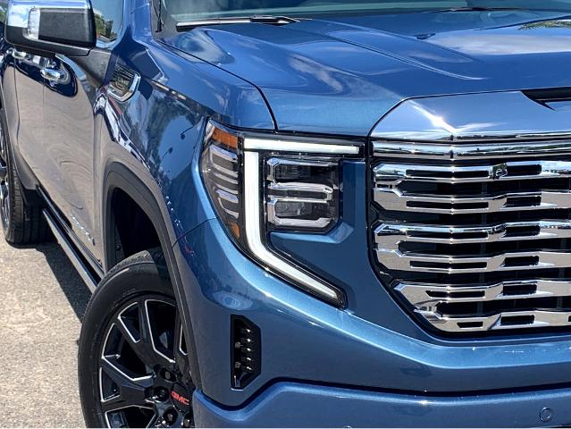 2025 GMC Sierra 1500 Vehicle Photo in BEAUFORT, SC 29906-4218