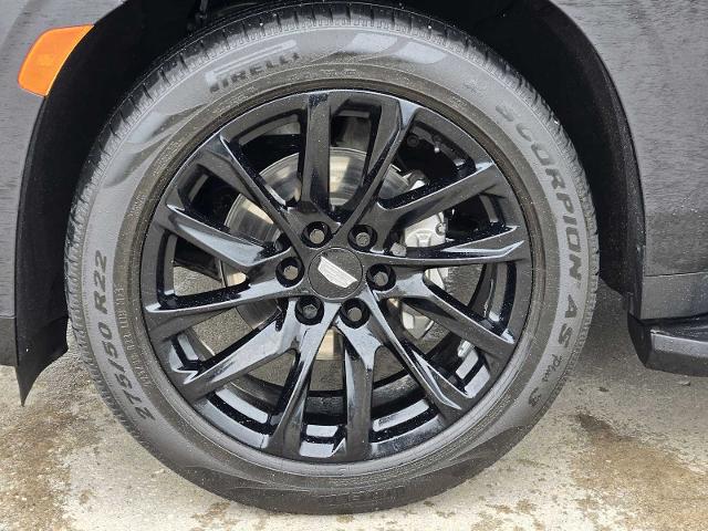 2021 Cadillac Escalade Vehicle Photo in DENTON, TX 76210-9321