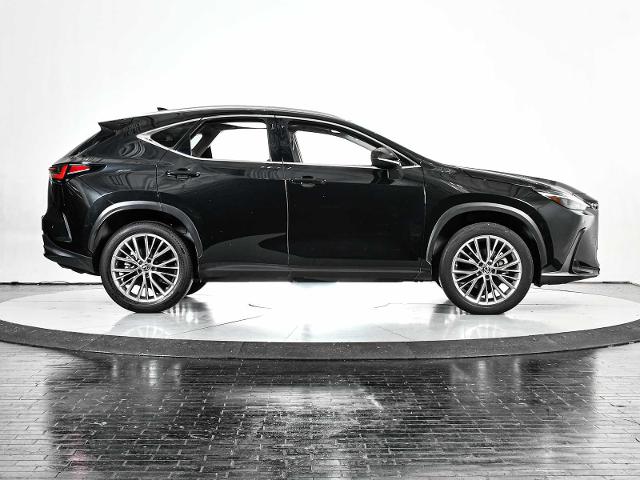 2022 Lexus NX 350 Vehicle Photo in DALLAS, TX 75235