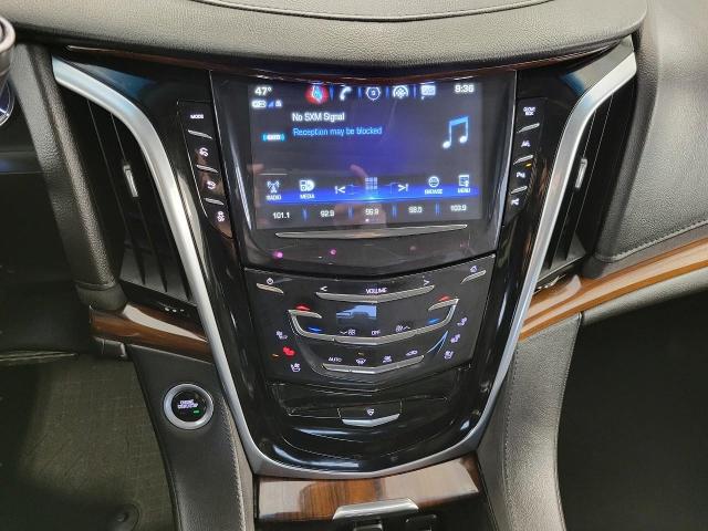 2020 Cadillac Escalade Vehicle Photo in Neenah, WI 54956