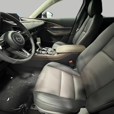2025 Mazda CX-30 Vehicle Photo in Green Bay, WI 54304