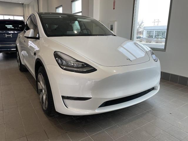 2023 Tesla Model Y Vehicle Photo in Appleton, WI 54913