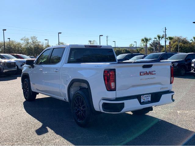 2025 GMC Sierra 1500 Vehicle Photo in BEAUFORT, SC 29906-4218