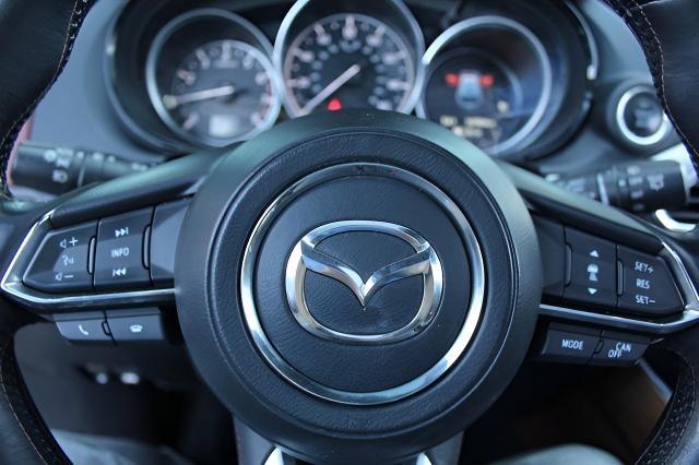 2017 Mazda CX-9 Vehicle Photo in Green Bay, WI 54304