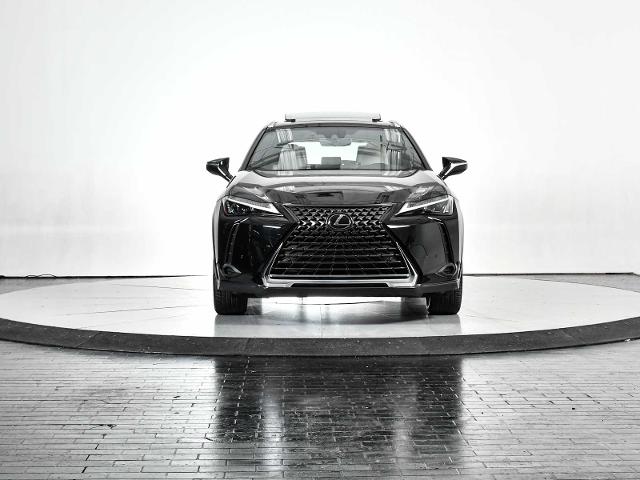 2024 Lexus UX 250h Vehicle Photo in DALLAS, TX 75235