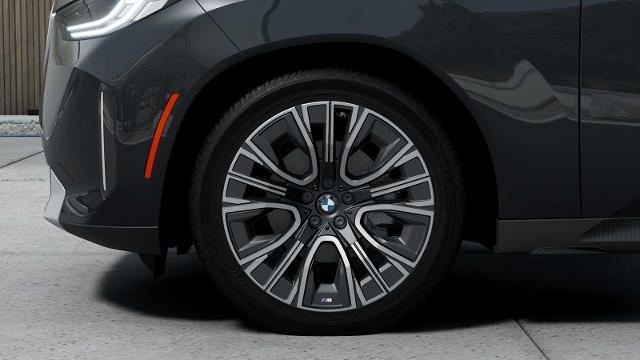 2025 BMW X3 30 xDrive Vehicle Photo in GRAPEVINE, TX 76051