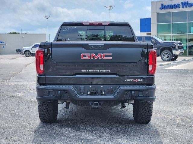2024 GMC Sierra 1500 Vehicle Photo in Decatur, TX 76234