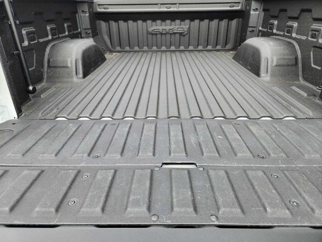 2023 GMC Sierra 1500 Vehicle Photo in DENTON, TX 76210-9321