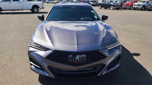 2021 Acura TLX Vehicle Photo in FLAGSTAFF, AZ 86001-6214