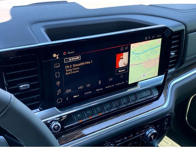 2025 GMC Sierra 1500 Vehicle Photo in BEAUFORT, SC 29906-4218