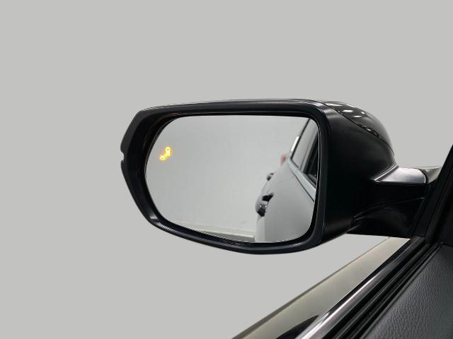 2019 Honda CR-V Vehicle Photo in Appleton, WI 54913