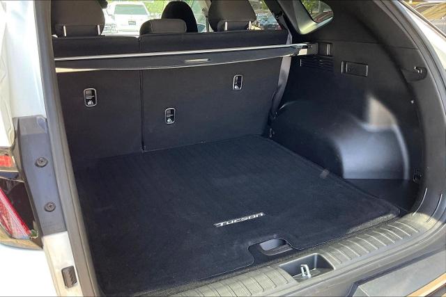 2023 Hyundai TUCSON Vehicle Photo in San Antonio, TX 78230