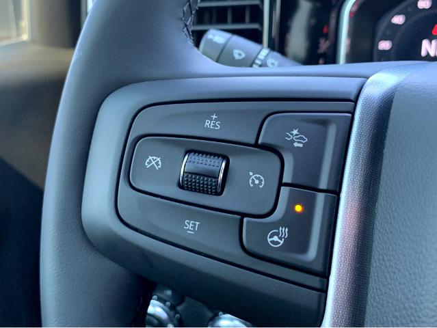 2025 GMC Sierra 1500 Vehicle Photo in BEAUFORT, SC 29906-4218