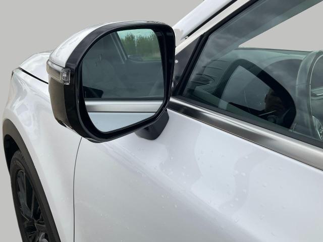 2020 Kia Telluride Vehicle Photo in Kaukauna, WI 54130