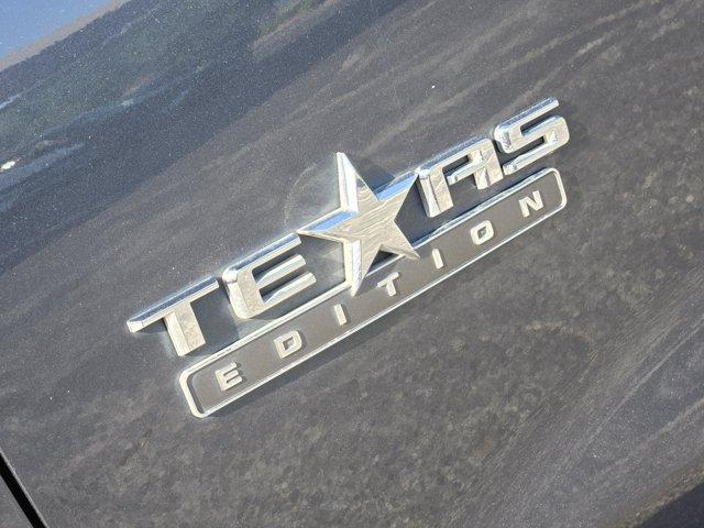 2019 Chevrolet Silverado 1500 Vehicle Photo in Decatur, TX 76234