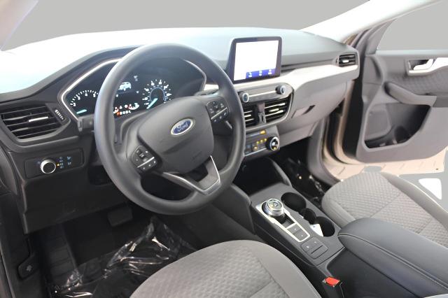 2020 Ford Escape Vehicle Photo in Green Bay, WI 54304