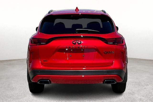 2025 INFINITI QX50 Vehicle Photo in San Antonio, TX 78230