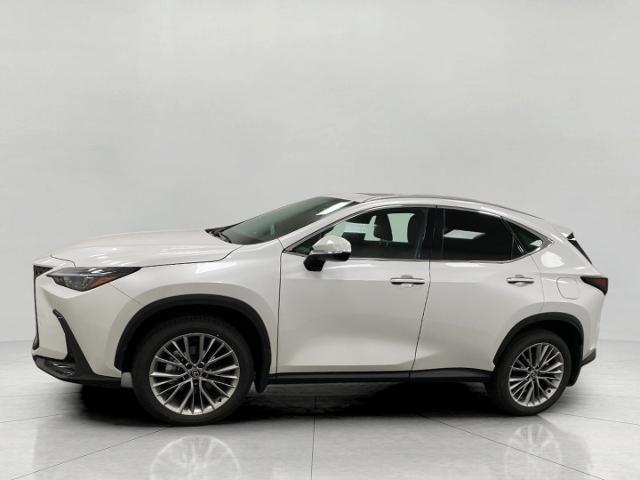 2025 Lexus NX 350 Vehicle Photo in Appleton, WI 54913