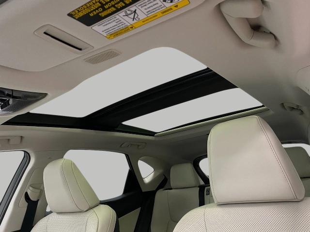 2025 Lexus NX 350h Vehicle Photo in Appleton, WI 54913