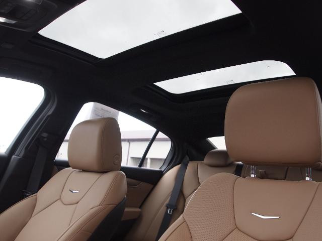 2025 Cadillac CT5 Vehicle Photo in MADISON, IN 47250-1611