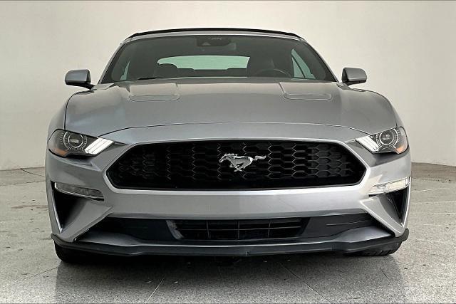 2023 Ford Mustang Vehicle Photo in San Antonio, TX 78230