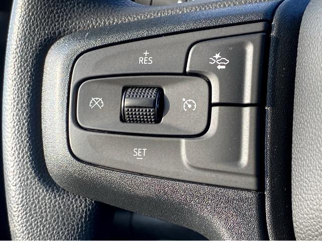 2024 Chevrolet Silverado 1500 Vehicle Photo in SAVANNAH, GA 31406-4513