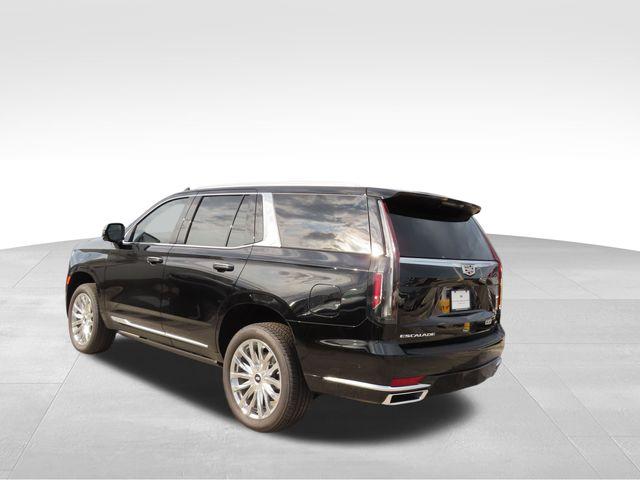 2024 Cadillac Escalade Vehicle Photo in DELRAY BEACH, FL 33483-3294