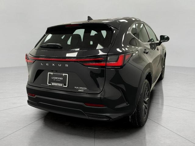 2024 Lexus NX 350h Vehicle Photo in Appleton, WI 54913