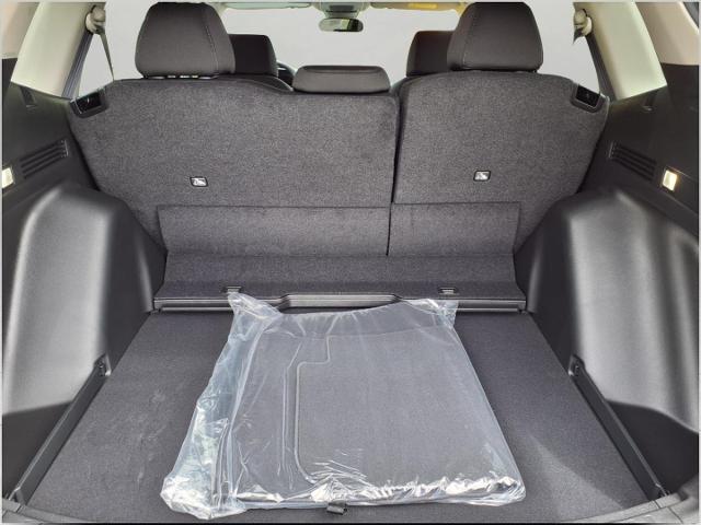 2025 Honda CR-V Vehicle Photo in Oshkosh, WI 54904