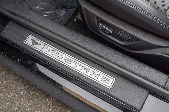 2019 Ford Mustang Vehicle Photo in DANBURY, CT 06810-5034