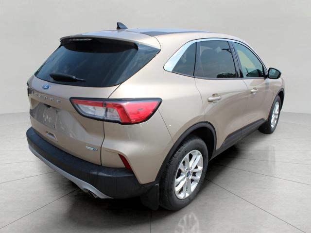 2020 Ford Escape Vehicle Photo in Green Bay, WI 54304