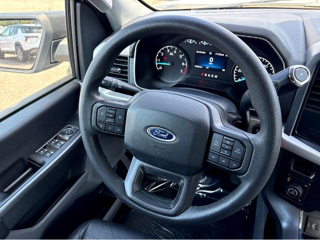 2021 Ford F-150 Vehicle Photo in BEAUFORT, SC 29906-4218