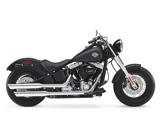 2016 Harley Davidson FLS Softail Slim for sale 1HD1JRV16GB022184 Ed Morse Auto Group