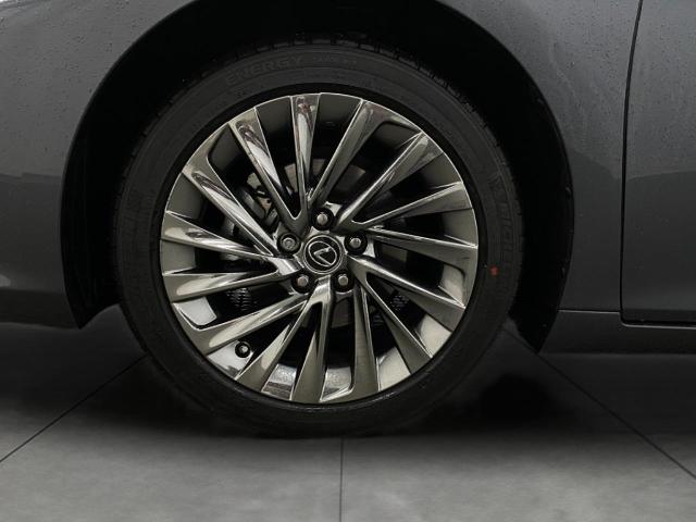 2024 Lexus ES 300h Vehicle Photo in Appleton, WI 54913