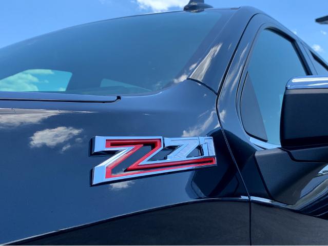 2022 Chevrolet Silverado 1500 Vehicle Photo in BEAUFORT, SC 29906-4218