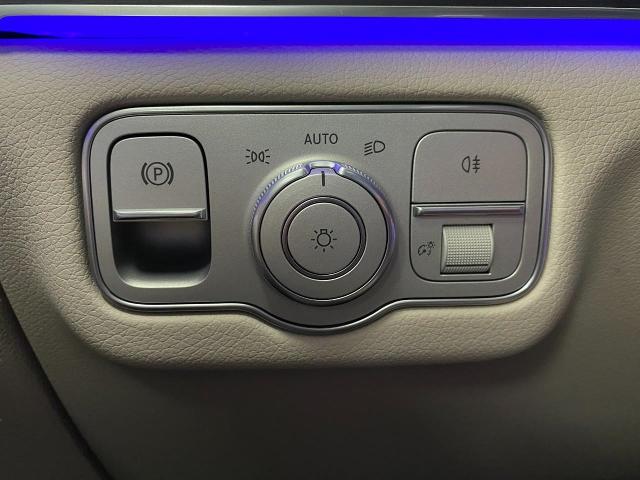 2025 Mercedes-Benz GLS Vehicle Photo in Appleton, WI 54913