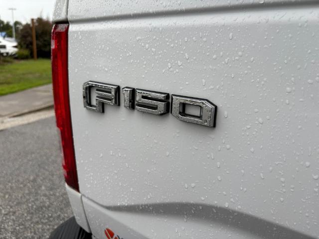 2017 Ford F-150 Vehicle Photo in Statesboro, GA 30458
