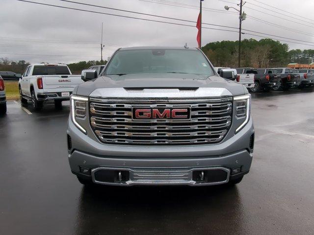 2025 GMC Sierra 1500 Vehicle Photo in ALBERTVILLE, AL 35950-0246