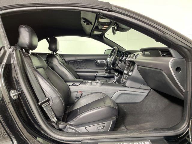 2022 Ford Mustang Vehicle Photo in PHOENIX, AZ 85014-3381