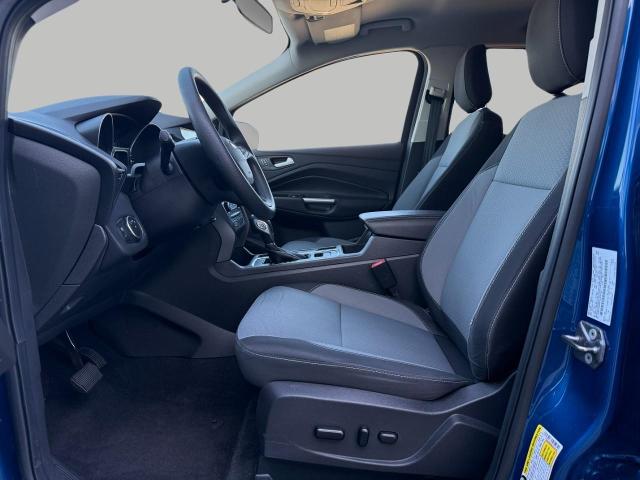 2019 Ford Escape Vehicle Photo in Appleton, WI 54914