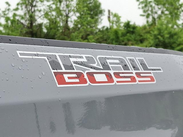 2024 Chevrolet Silverado 1500 Vehicle Photo in TREVOSE, PA 19053-4984