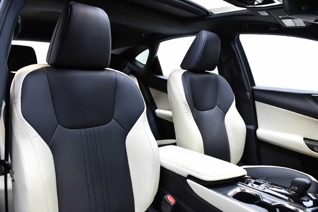 2024 Lexus NX 350 Vehicle Photo in DALLAS, TX 75235