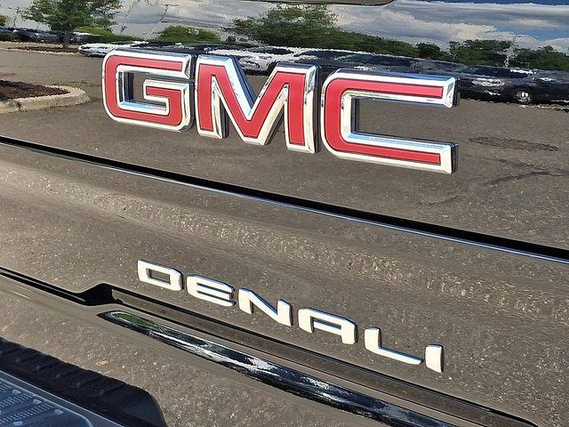 2024 GMC Sierra 1500 Vehicle Photo in DANBURY, CT 06810-5034