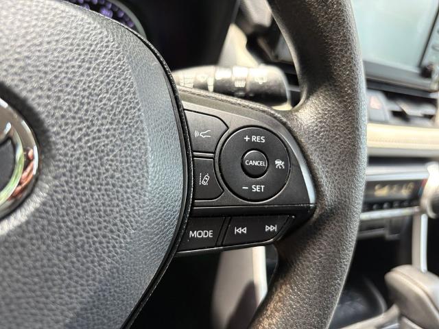 2019 Toyota RAV4 Vehicle Photo in Statesboro, GA 30458