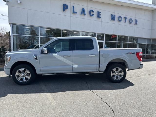 2023 Ford F-150 Vehicle Photo in Webster, MA 01570-1415