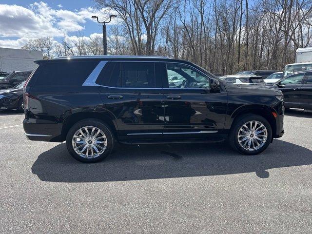 2023 Cadillac Escalade Vehicle Photo in MOUNT KISCO, NY 10549-1513